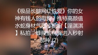 《极品长腿网红性爱》你的女神有钱人的母狗！推特高颜值水蛇身材气质小姐姐【淫淇淇】私拍，蜂腰蜜桃臀进入秒射那种 (2)