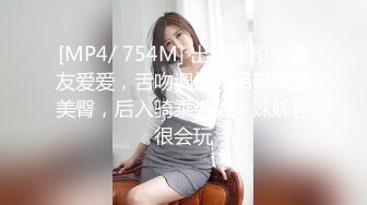 AI-斯嘉丽&middot;约翰逊 + 盖尔&middot;加朵  每个男人的梦想