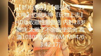 91CM-245.高梨遥香.私人玩物.第二集.海边露出连续高潮.91制片厂