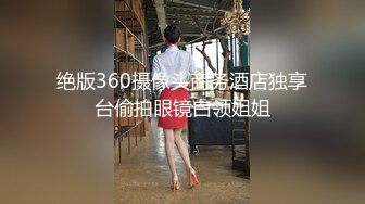 绝版360摄像头商务酒店独享台偷拍眼镜白领姐姐