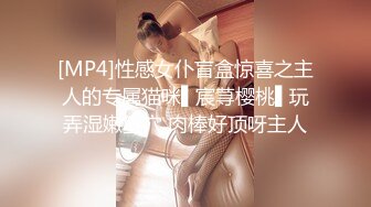 [MP4]性感女仆盲盒惊喜之主人的专属猫咪▌宸荨樱桃▌玩弄湿嫩蜜穴 肉棒好顶呀主人