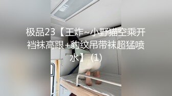 极品23【王炸~小野猫空乘开裆袜高跟+豹纹吊带袜超猛喷水】 (1)