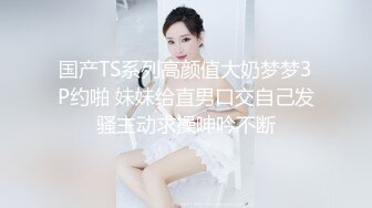 可以随时做爱的我的专用女仆