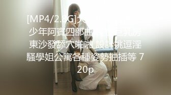 [MP4/2.8G]大陸AV劇情檔：少年阿賓四部曲 美艷巨乳房東沙發舔穴啪啪 設計挑逗淫騷學姐公寓各種姿勢抽插等 720p