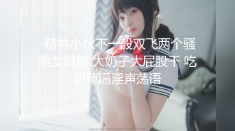 【自整理】Erect Dick （第一季）肛塞 开叉皮裤 制服诱惑 SM调教  最新视频合集【135V】 (44)