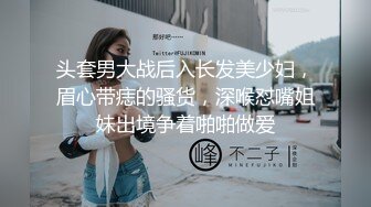 十分耐玩的少妇4