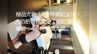 《最新曝料重磅泄密》顶级身材著名封面模特国产女神【苏莱娜】私拍，被大洋屌花臂男各种输出，紫薇肛塞形象反差极大 (3)