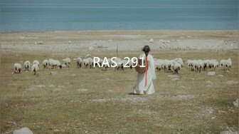 RAS-291