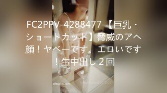 【beauty】高价良家云盘流出，极品反差女友，白富美女神，做爱视频上下皆粉 (3)