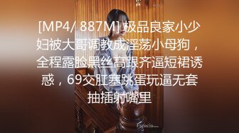 麻豆传媒 mtvq-1 突袭女优家 ep14 节目篇-苏清歌