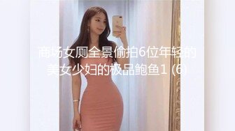 商场女厕全景偷拍6位年轻的美女少妇的极品鲍鱼1 (6)