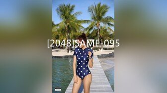 [2048]SAME-095