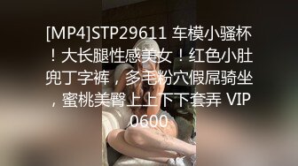 出轨人妻小姐姐，完美露脸操黑丝少妇，角度姿势众多