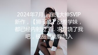 推特巨乳--hhh1231 又叫 Sera 最新啪啪长视频 双巨乳 (3)