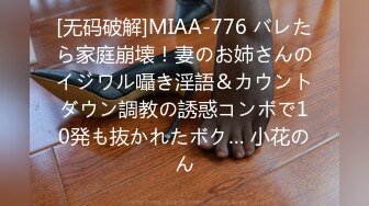 最新情侣泄密㊙️情侣真实啪啪自拍泄密 扛腿猛烈抽插爆裂黑丝 骚货人妻3P前裹后操 完美露脸