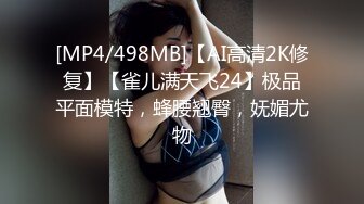 极品女友镜子前被干