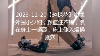 2023-11-20【赵探花】约操外围小少妇，颜值还不错，趴在身上一顿舔，床上侧入爆操骚穴