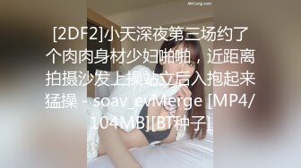 [2DF2]小天深夜第三场约了个肉肉身材少妇啪啪，近距离拍摄沙发上操站立后入抱起来猛操 - soav_evMerge [MP4/104MB][BT种子]