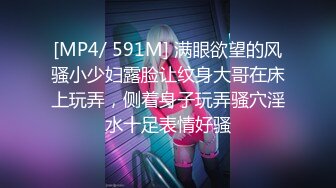 国产麻豆AV 麻豆US LAX0011 骚女仆的榨精工作 Sophia