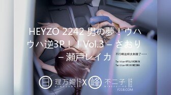 HEYZO 2242 男の夢！ウハウハ逆3P！！Vol.3 – さおり – 瀬戸レイカ