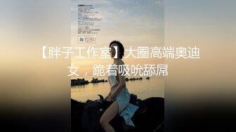 【胖子工作室】大圈高端奥迪女，跪着吸吮舔屌