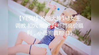 【YESU】约啪大神1号女主 调教 扣穴 啪啪 付费群高价福利，小母狗真粉 (1)