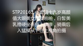 STP20163 小姐姐十九岁高颜值大眼美女炮友啪啪，白皙美乳撸硬坐在身上摩擦，骑乘后入猛操从下往上视角拍摄