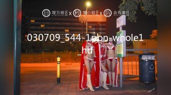 030709_544-1pon-whole1_hd