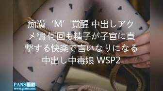 痴漢‘M’覚醒 中出しアクメ編 何回も精子が子宮に直撃する快楽で言いなりになる中出し中毒娘 WSP2